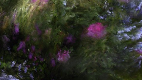 Collection Jardin d'été