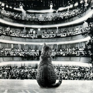 726f90b1-2f3d-4753-8811-3aac61b73b27