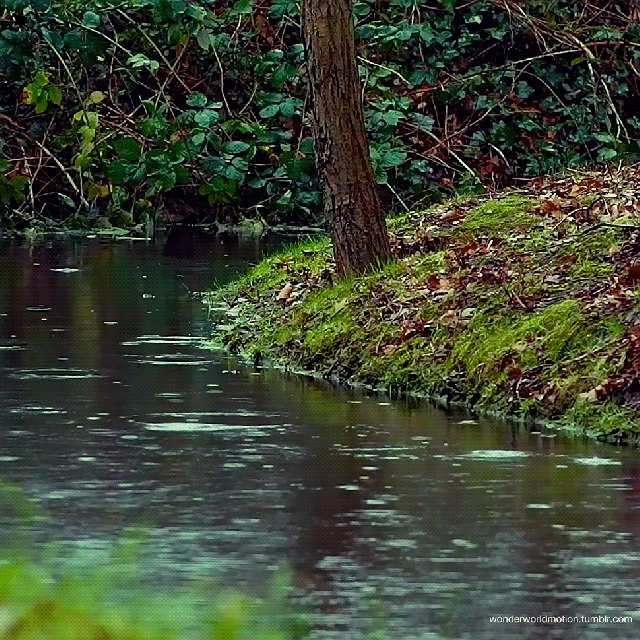 1c10bd43-4264-4991-b0a9-99aa746593f6