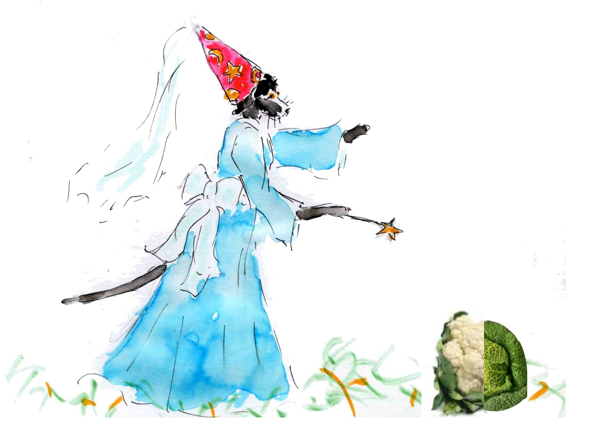 la vie de memphis: Les nouvelles nouvelles expressions de Memphis. D'un chou vert : Faire chou blanc